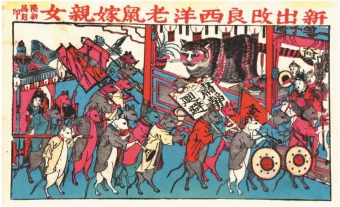 小白鼠很接近人类,我们对仓鼠的喜爱写一写