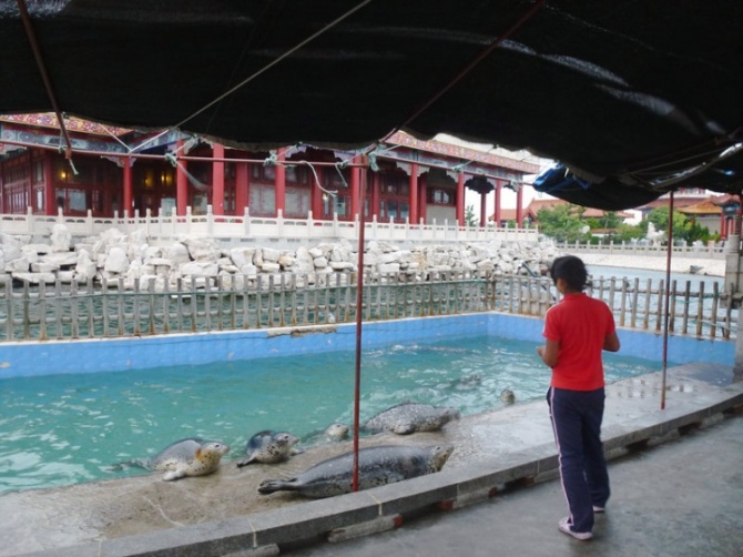 蓬莱仙境游戏手机版,蓬莱仙境游记全集