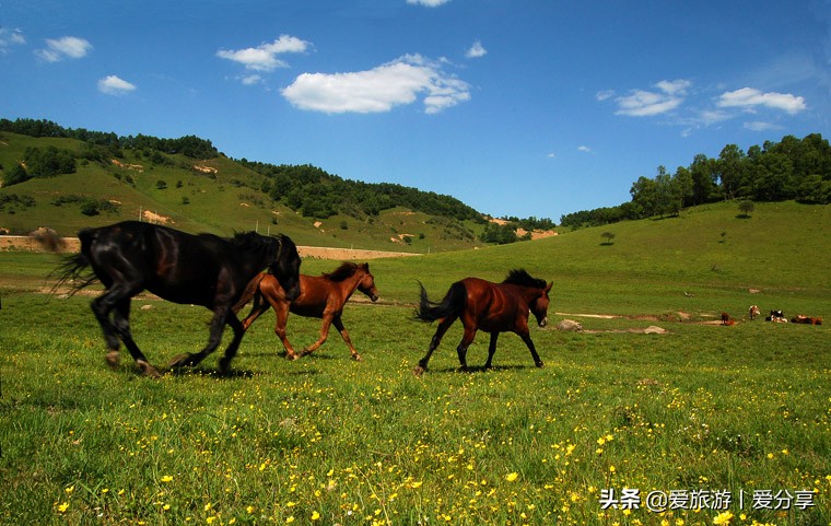 宝鸡凤县到关山牧场,宝鸡关山牧场冬天景色