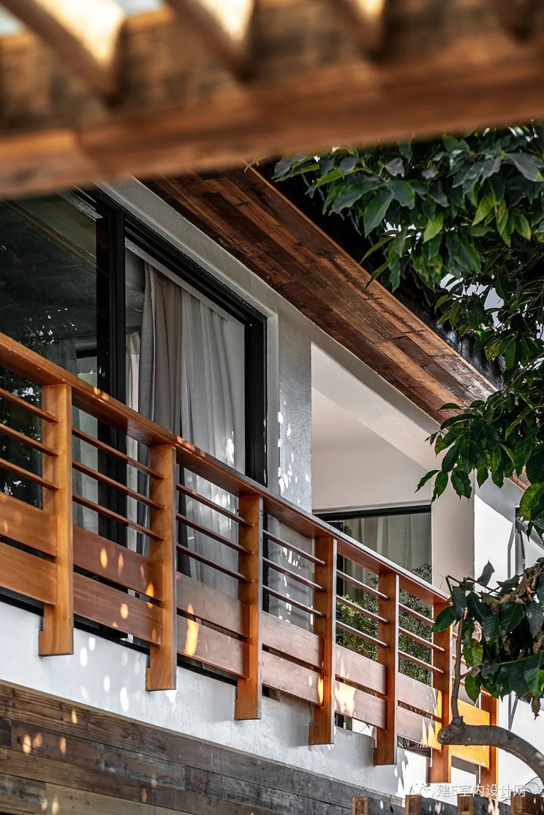 乘风破浪谢柯,谢柯个人简历