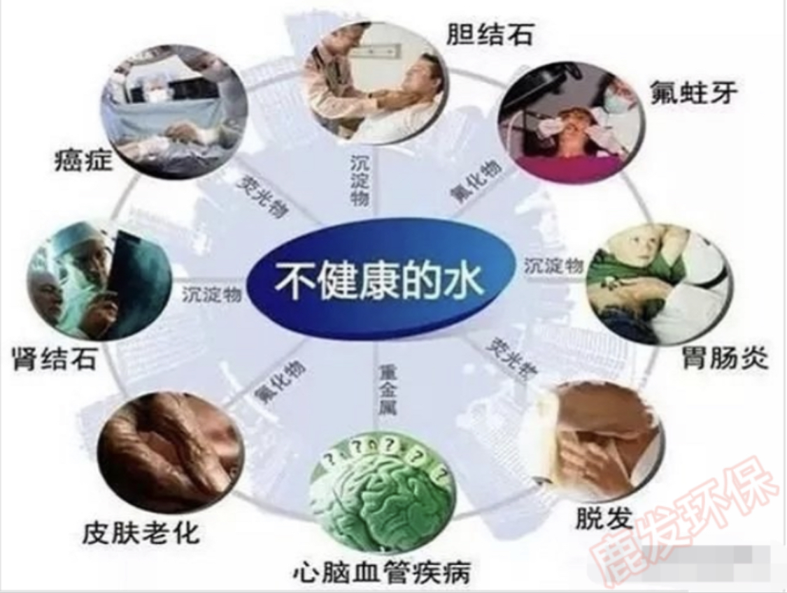 鄂西北适合回乡创业的项目,大学生回乡创业项目有哪些