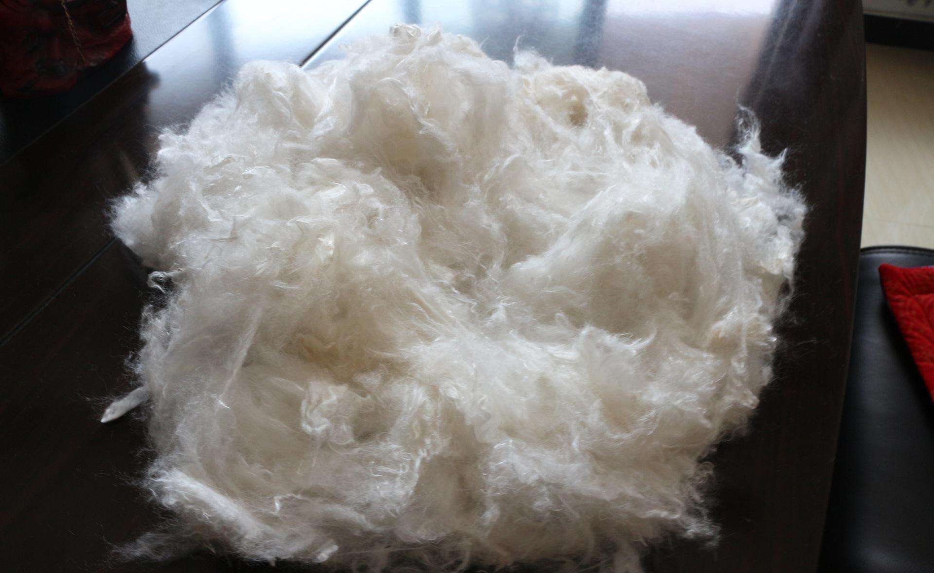 粘胶技术市场,粘胶短纤市场