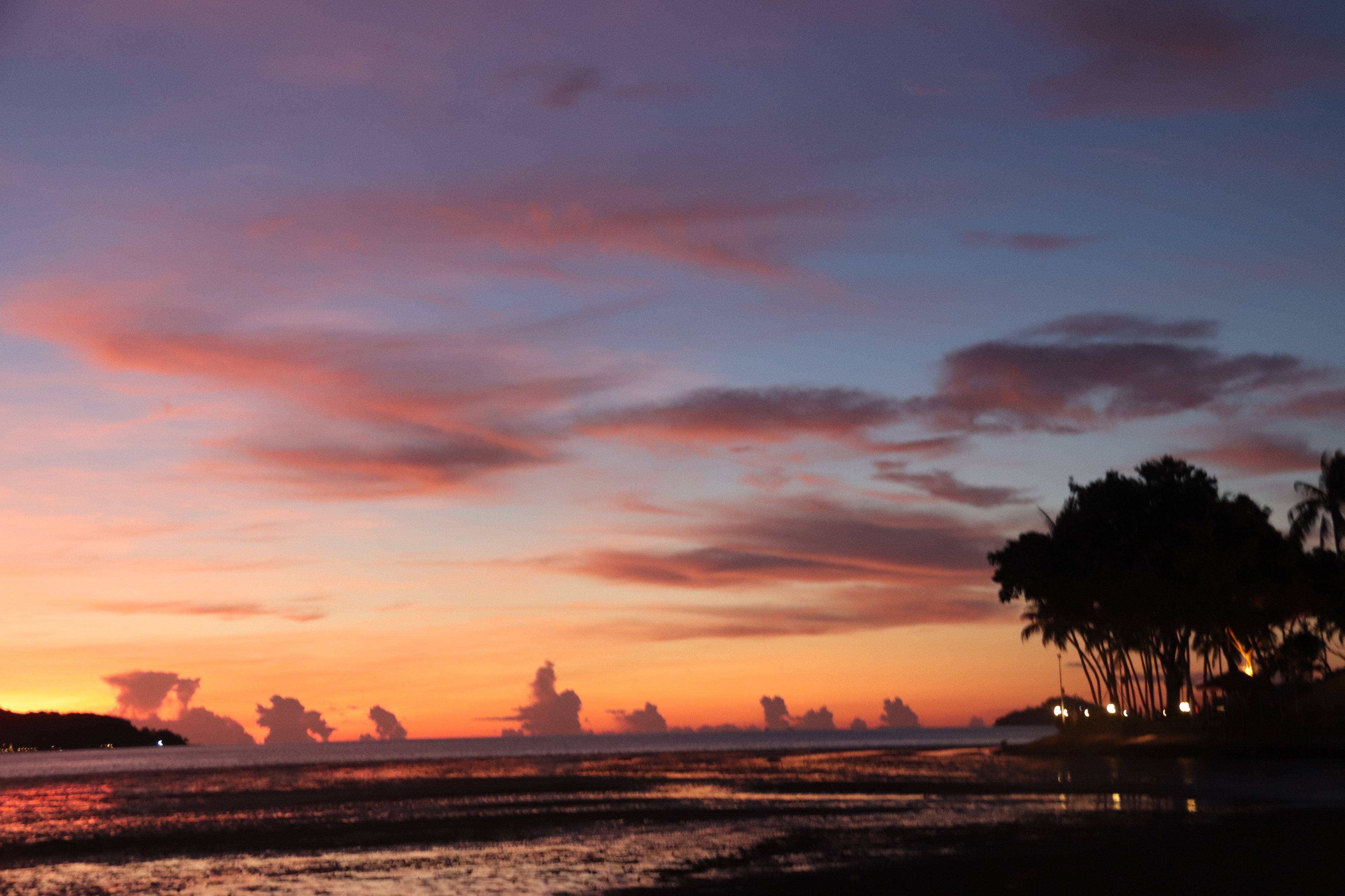 2018马来西亚之旅留影,2019回眸