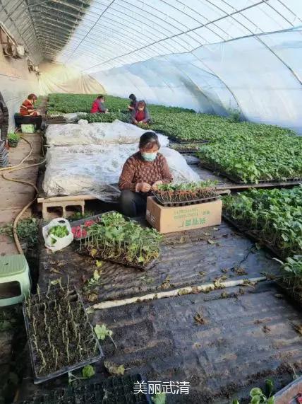 【武清战“疫”】“战”在前沿使命在肩，高村镇勇当京津协同战“疫”排头兵