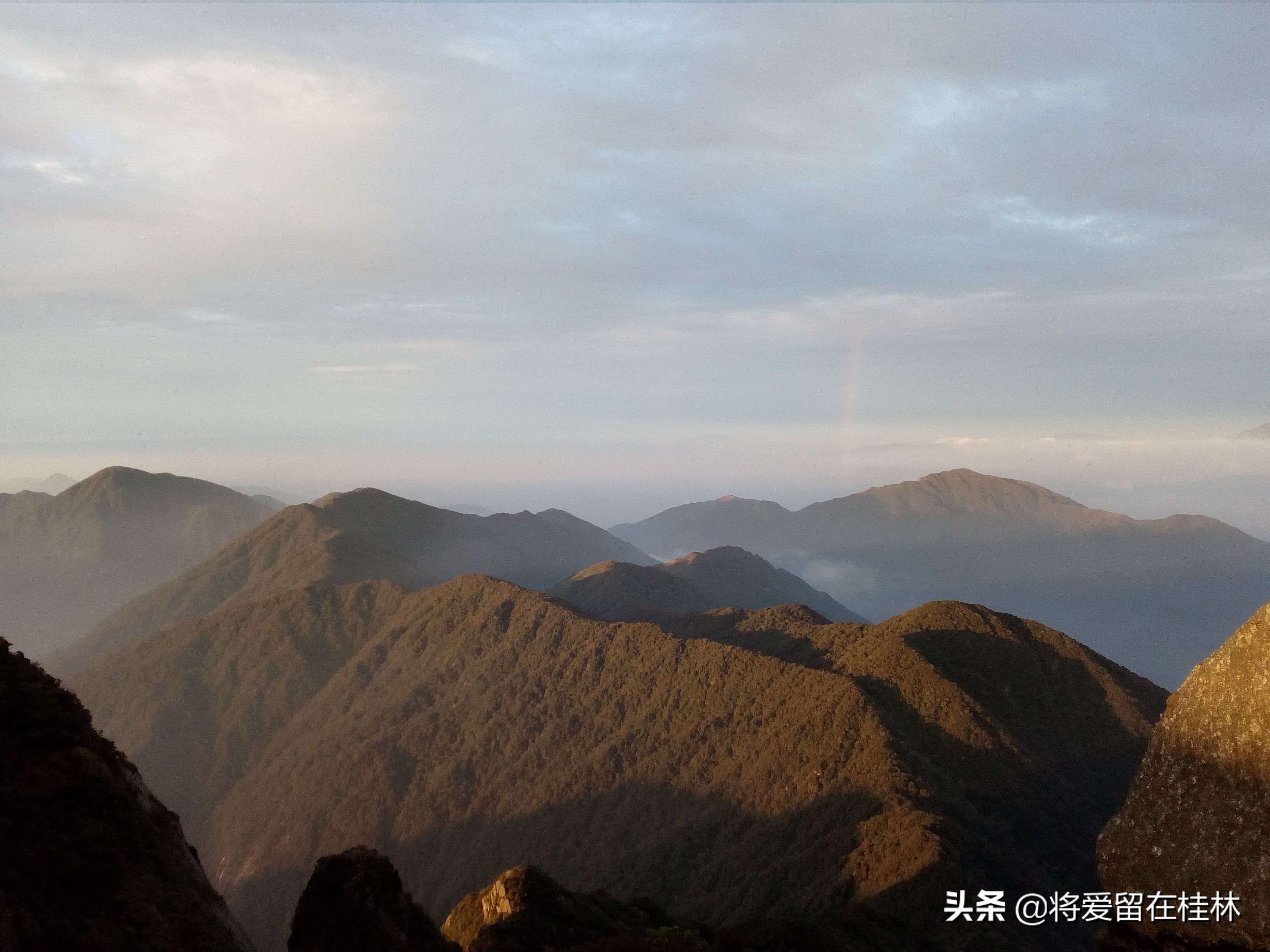 一路向北到桂林自驾游,一路向北柳州紫荆花
