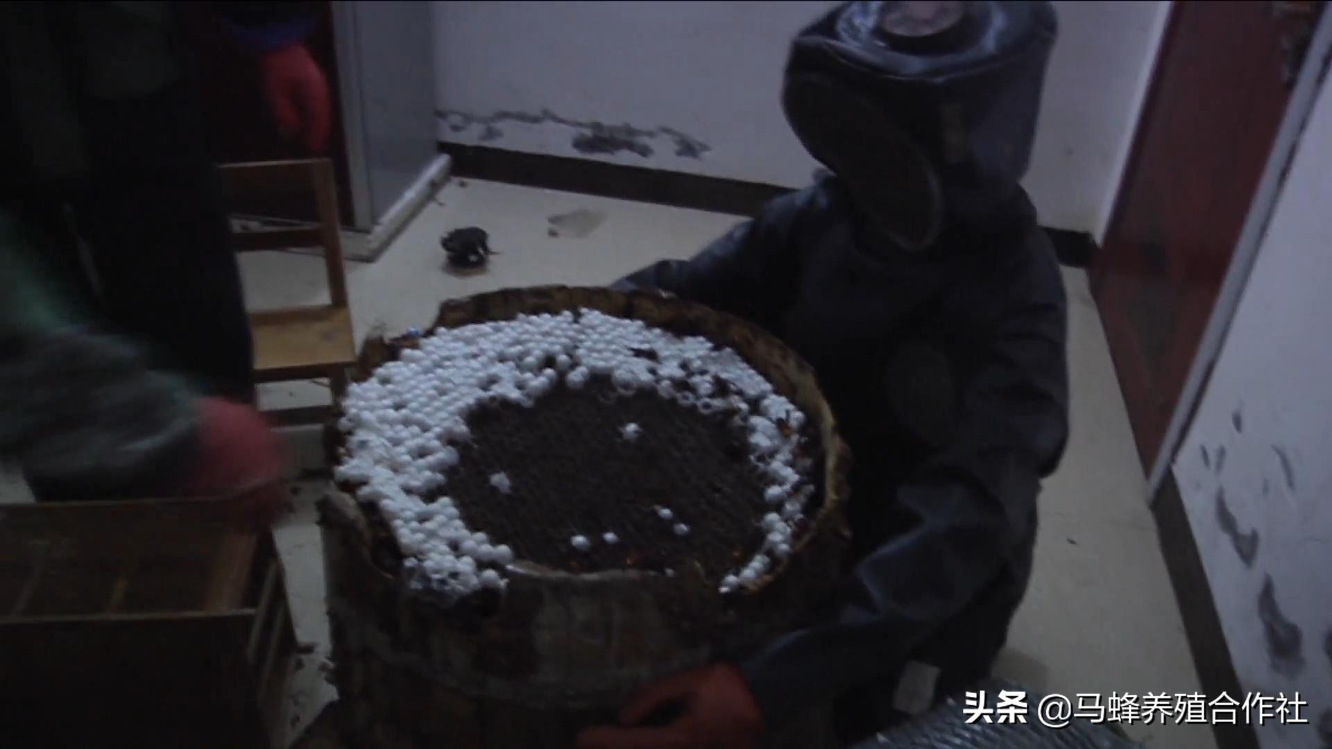 艺高人胆大好吃到爆炸,艺高人胆大就不怕翻车