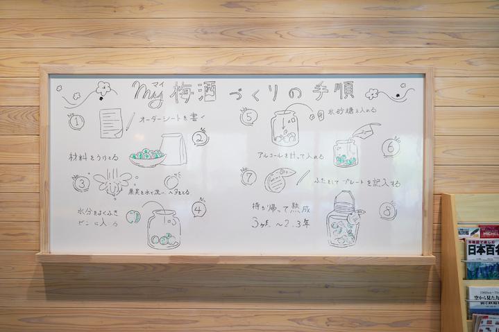 日本九州七星列车,日本九州列车