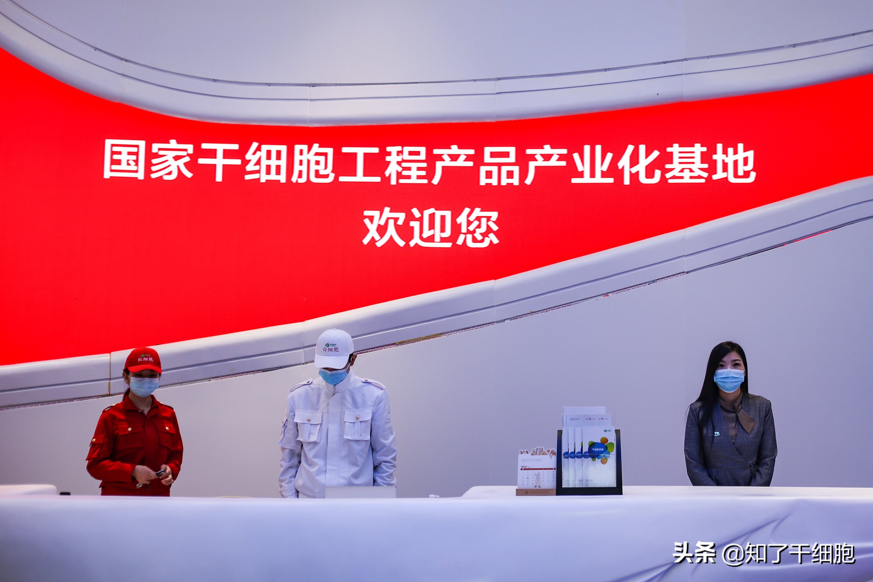 中源协和干细胞操作,中源协和干细胞