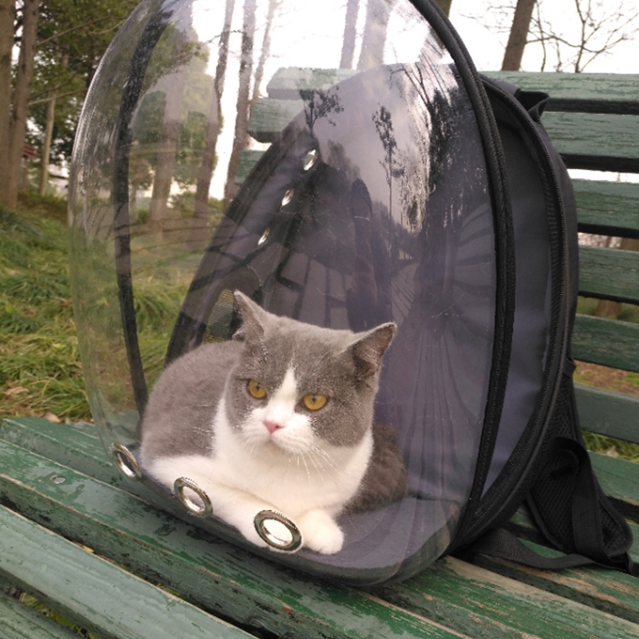 怎样的猫包最适合猫咪,猫猫应该用什么样的猫包