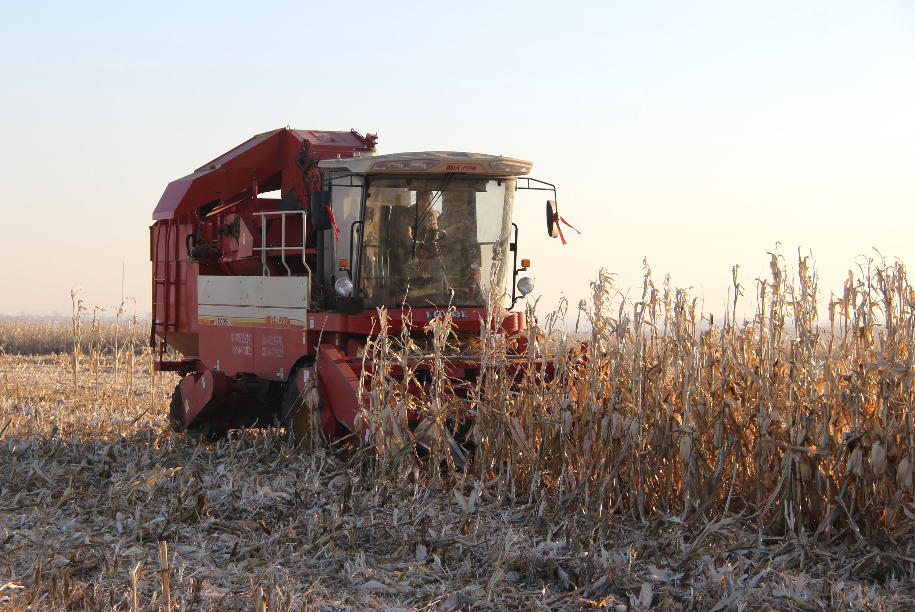 榆树市是中国第一大粮仓,榆树市粮仓