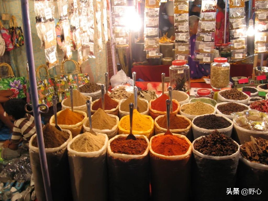 去印度最富有的城市旅游,印度十大富裕邦