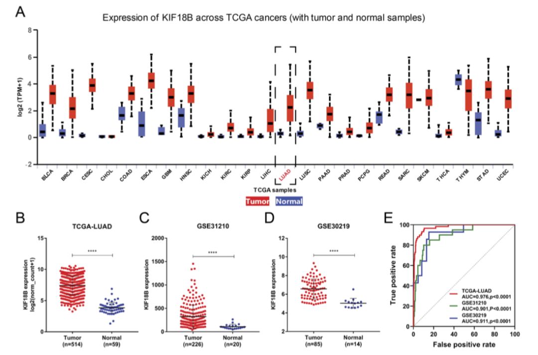 博士毕业神器3+分纯生信杂志：平均一审只要一个月，年刊量1000+