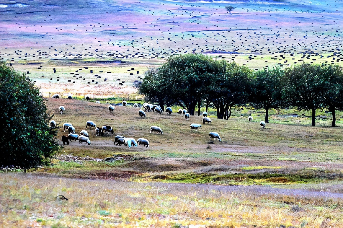行摄美景,行摄塞外美景