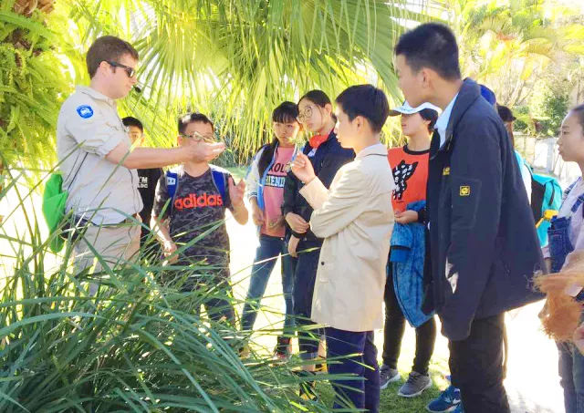 延庆新东方游学营地,新东方游学营地10000元