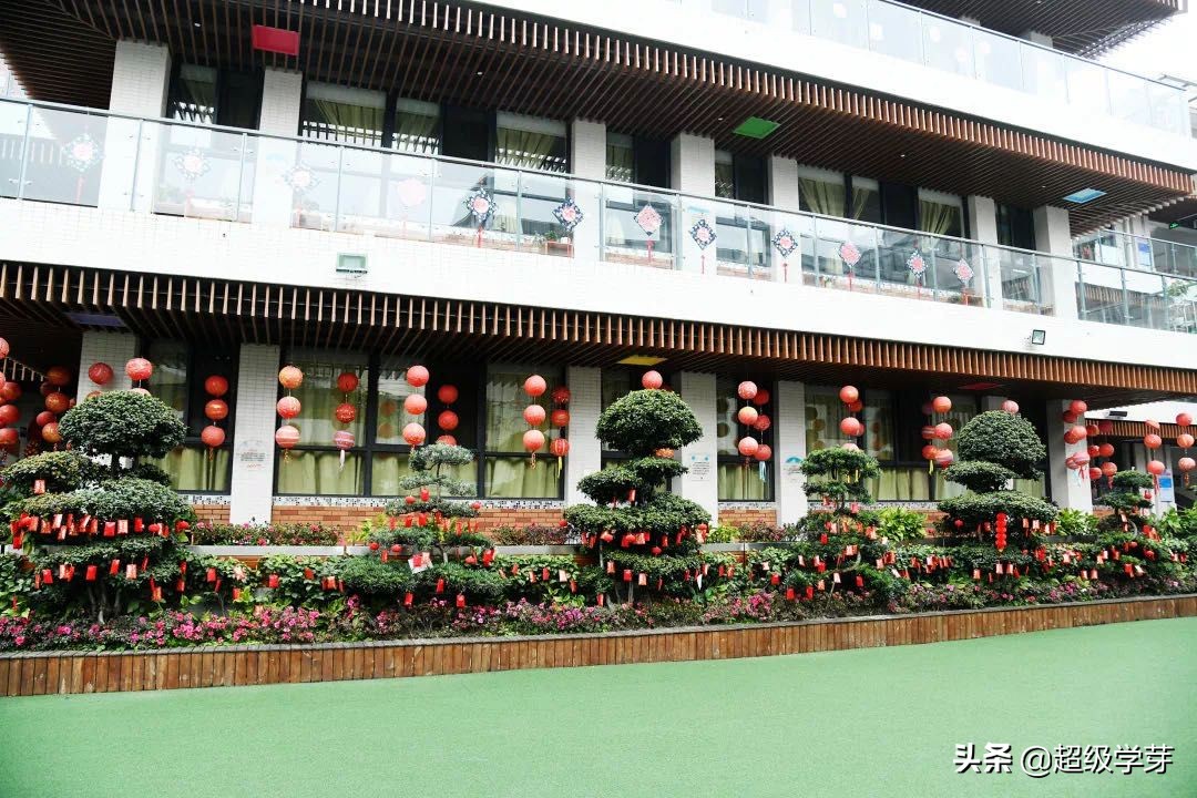 金牛区教育不咋行，老牌名校已没落？幼儿园到高中怎么选？