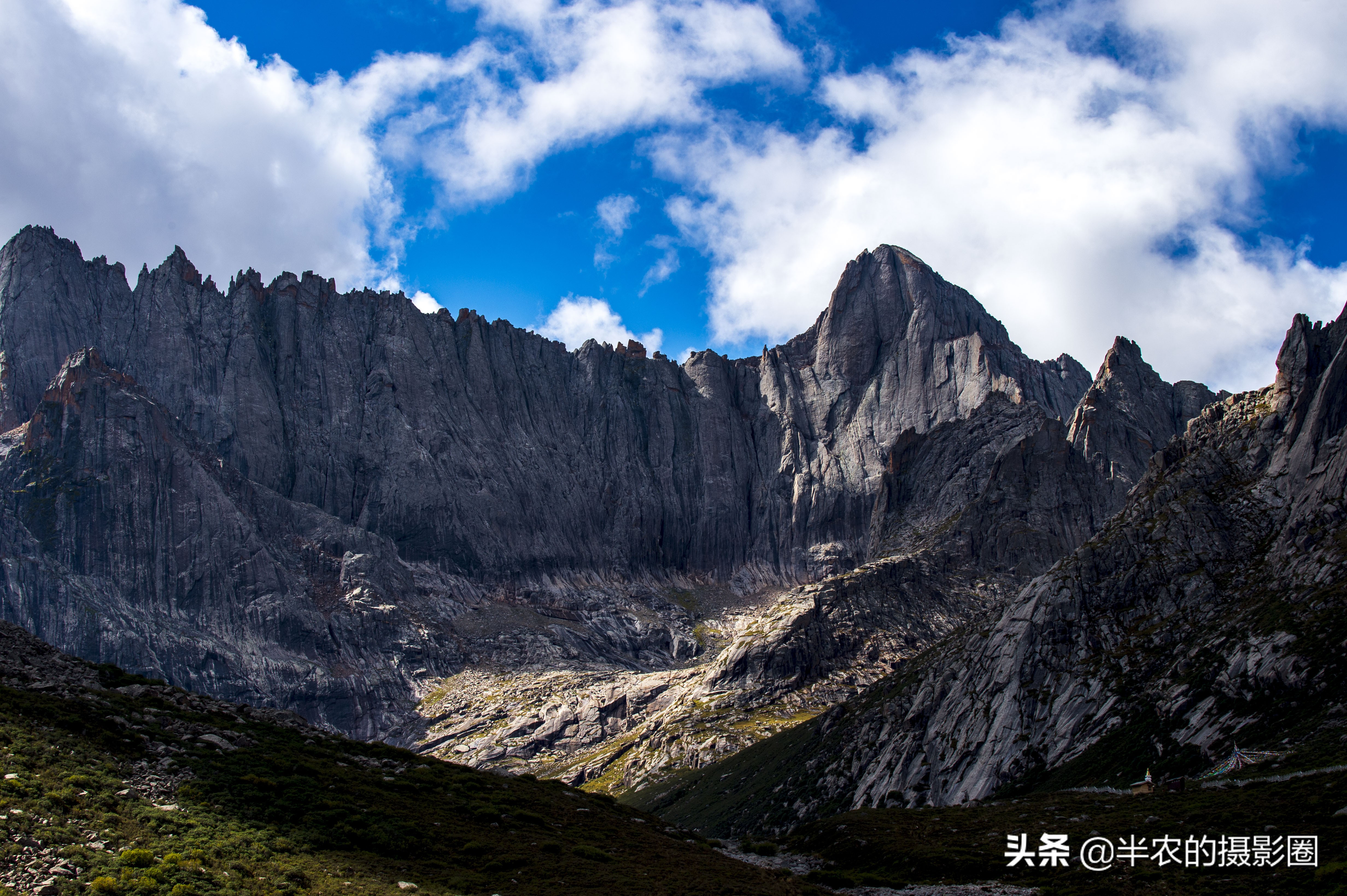 徕图碳纤维三脚架加云台超值套装,徕图bv-10液压云台怎么样