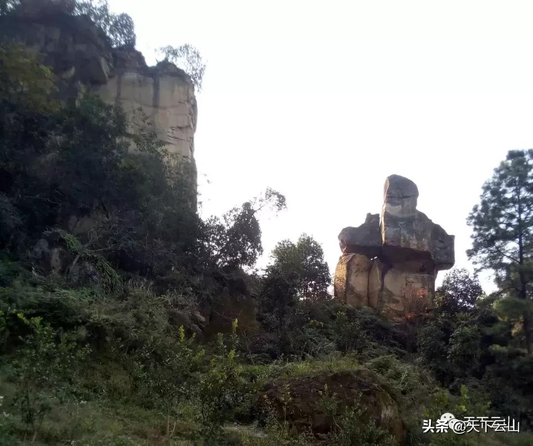 「微云山-知青故事50年」《云山松》（连载二）-文/王连方