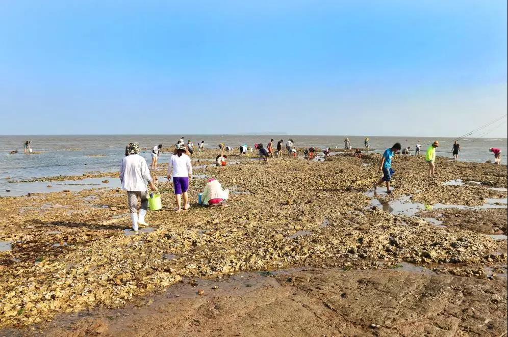 收藏！中秋有大潮来看大连最全赶海地图