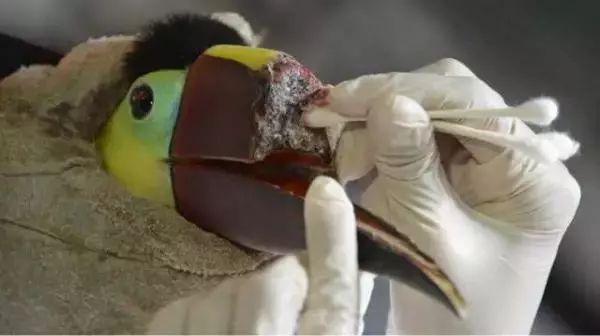 文玩的十大黑幕,文玩最让人无奈的六件事