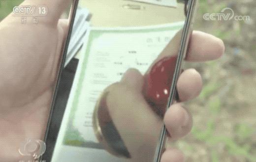 不在医院出生却有出生证明！公然叫卖的文书从何来？