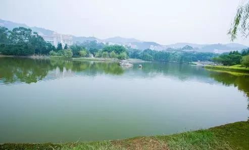 口腔溃疡可以用西瓜蘸盐治疗,口腔溃疡用一种药涂一下就好了