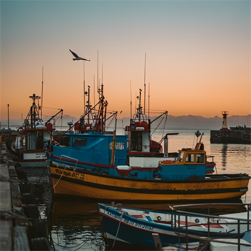 为了鳕鱼，这个弹丸小国和英国皇家海军打了三仗，居然都赢了