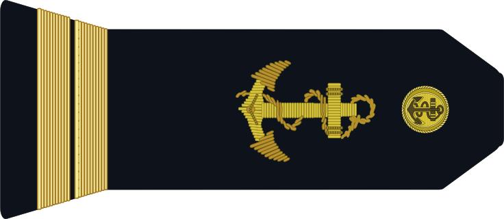 法国将军军衔等级,法国上校是什么军衔