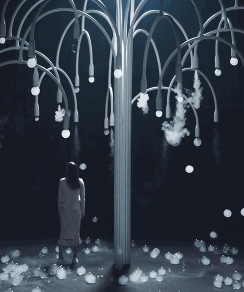 美得足以让人忘记时间流逝,美得让人静止的瞬间