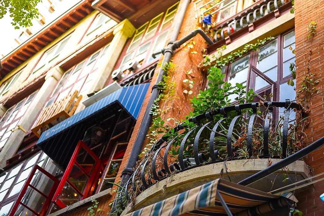 武汉必打卡排行榜,武汉十大打卡地