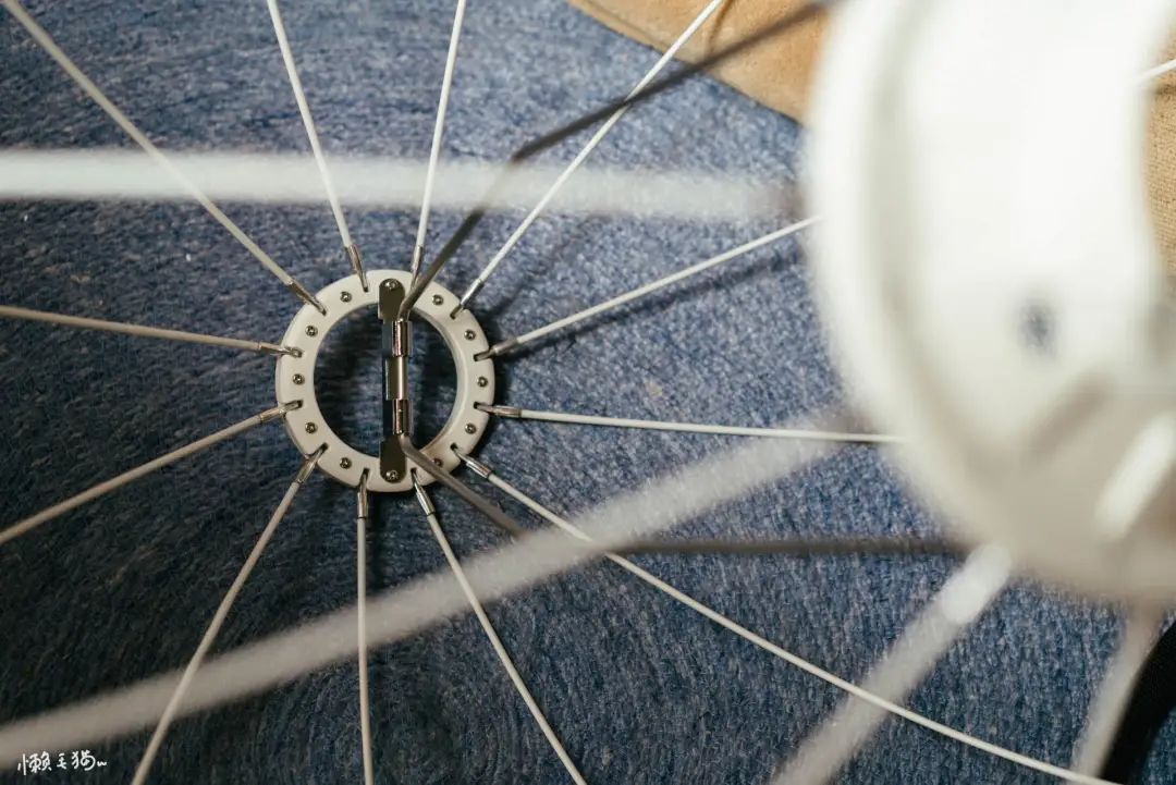 摄影灯需要灯泡吗,摄影灯与日光灯的区别