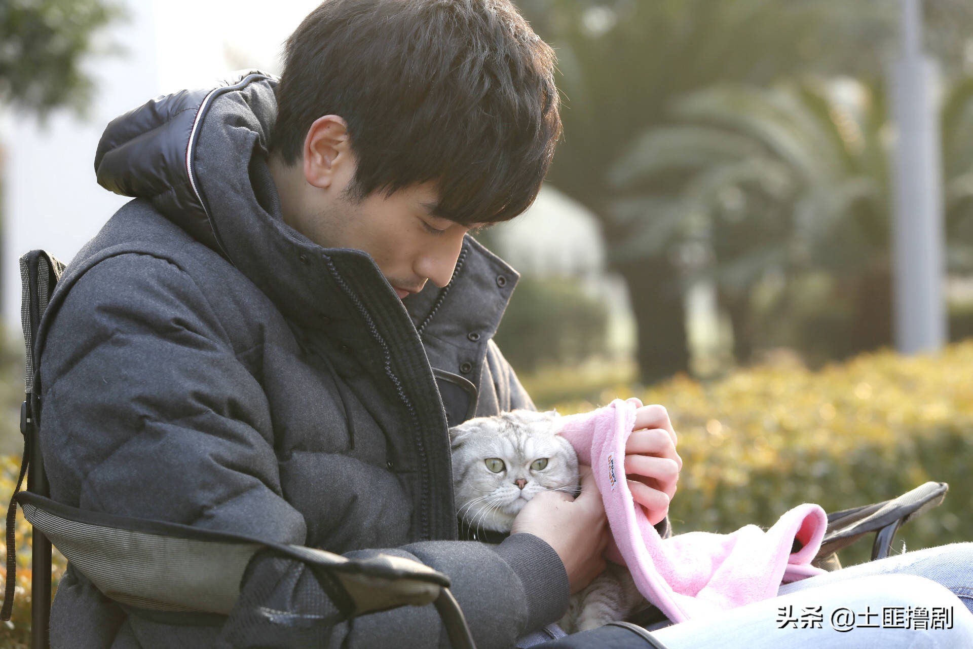 高以翔去世商业伦理分析,高以翔去世主要原因