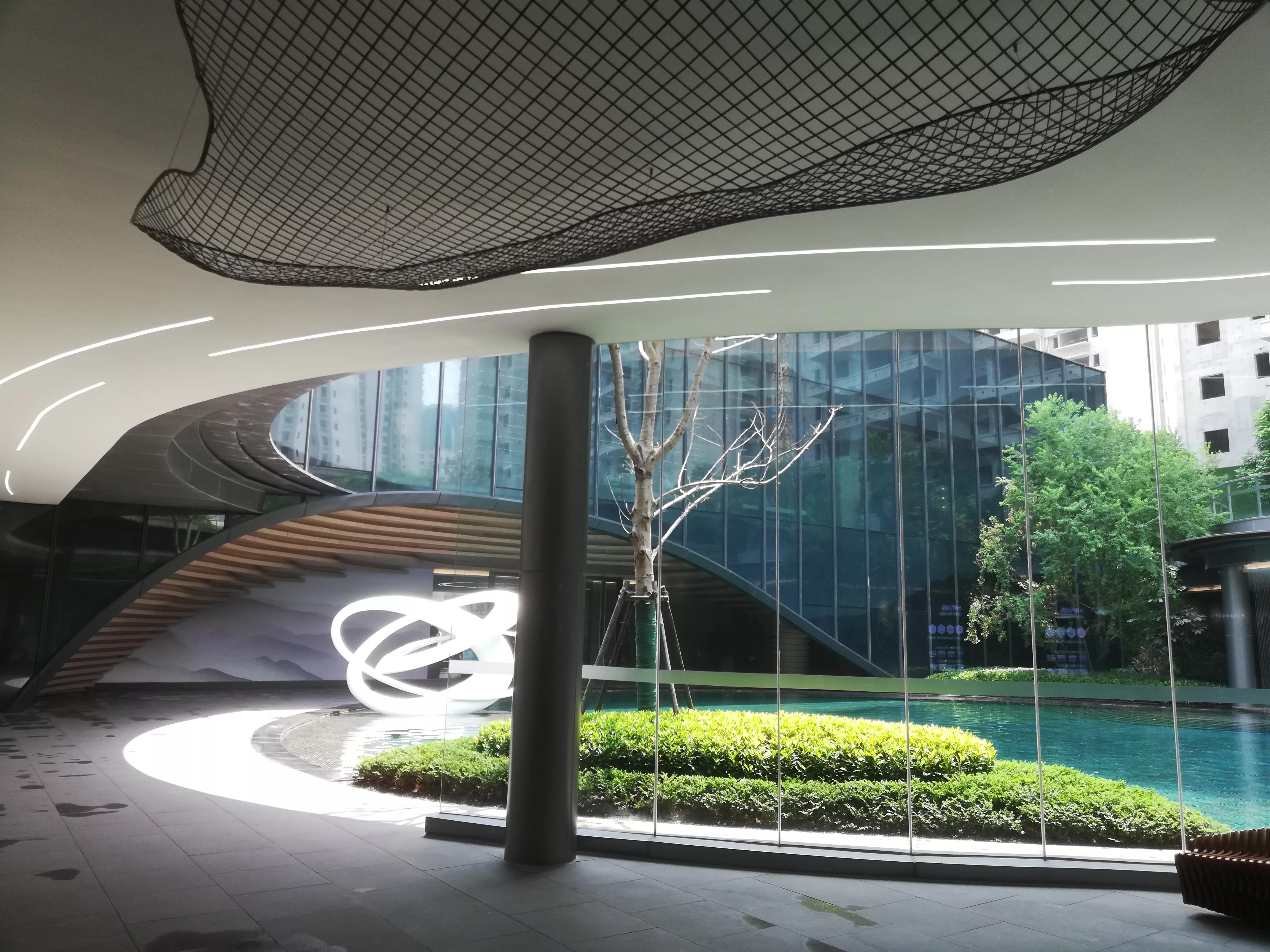 桂花香秋天的味道,南宁青秀山桂花盛开