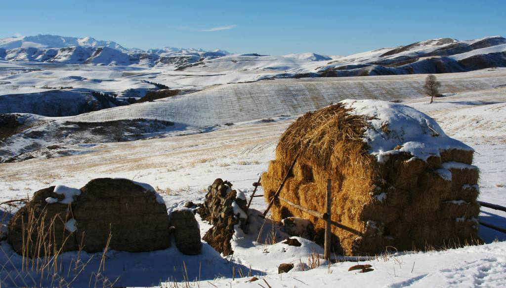 澳洲山羊奶洁面,山羊奶护肤