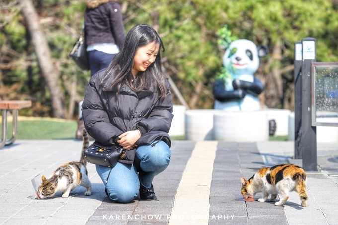 韩国安东美食,韩国釜山必游胜地