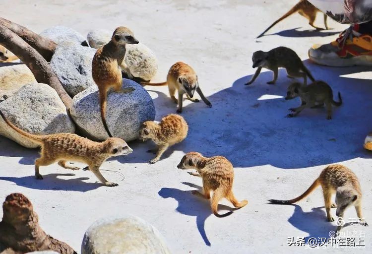 汉中户外遛娃好去处排行榜,汉中遛娃旅游景点有哪些