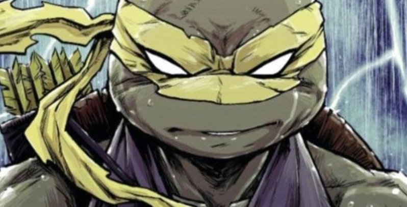 忍者神龟进化史,忍者神龟变异龟