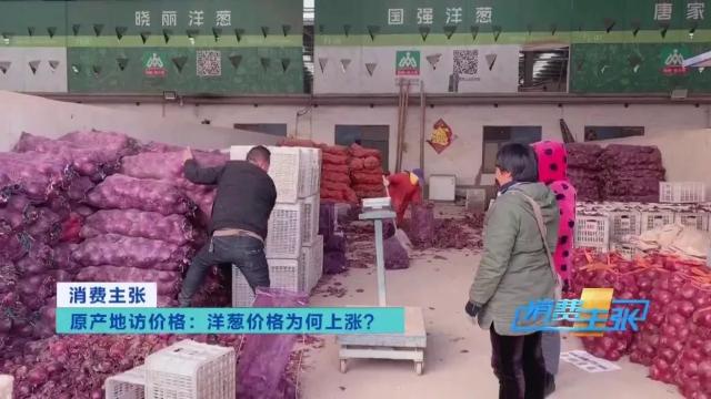洋葱价格及出口情况,全国各地洋葱产地批发价格