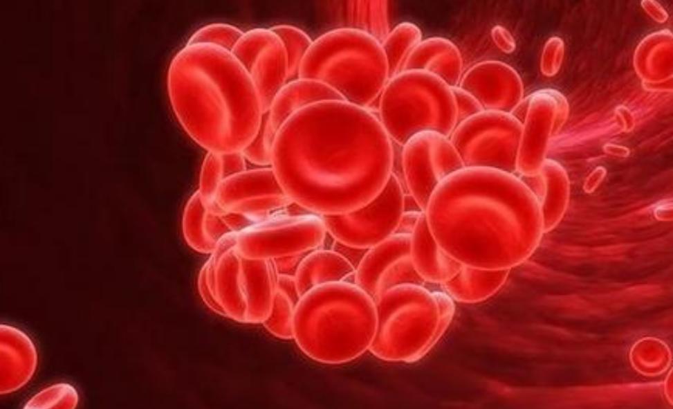 怎么通过血常规判断是不是流感,怎么查血常规判断是病毒还是细菌