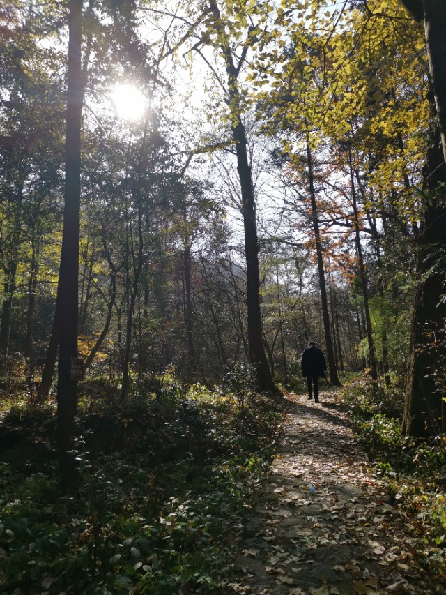 湖北省广水市应山三潭风景区简介,湖北广水三潭风景区免费吗