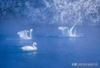 你这种脑子的女人也只能是受骗的命