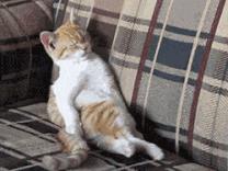 别再趴着睡觉了！22岁小伙一觉醒来“手残”了！医生：最好的睡姿是它