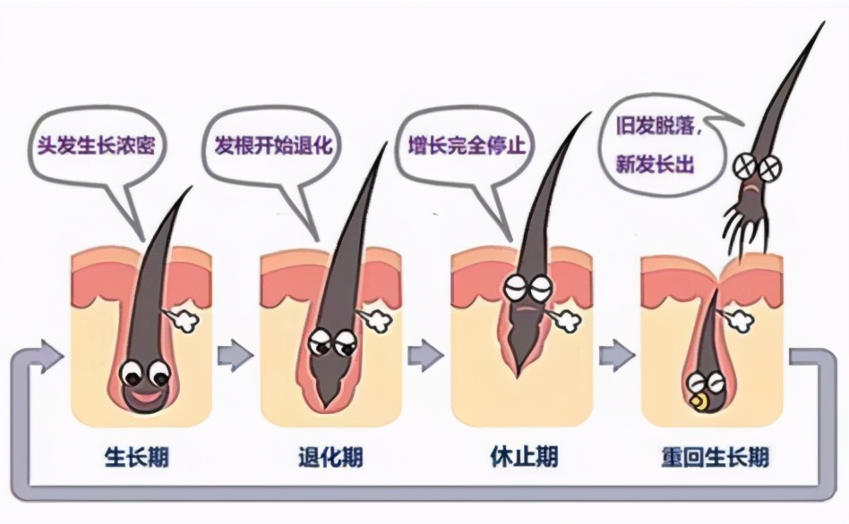 科研人员激动痛哭,头秃的真相