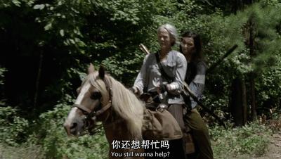 行尸走肉s10e2,行尸走肉s11-65