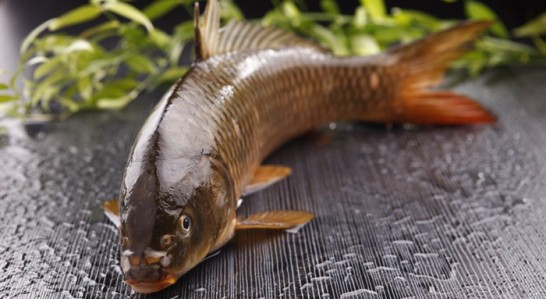 正宗章丘特产手打铁锅,山东章丘特产有哪些