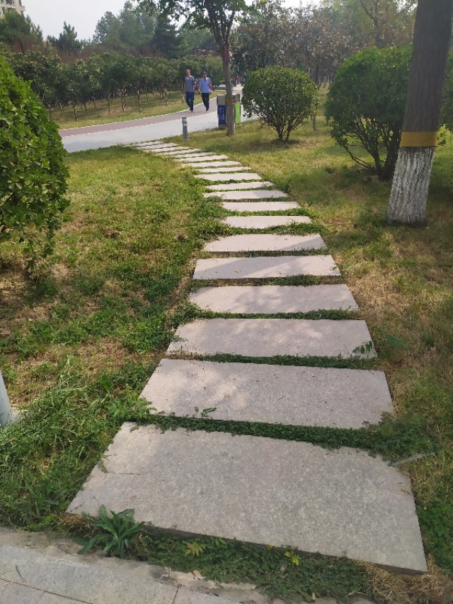 东环公园冬季图片,东环公园景点的介绍