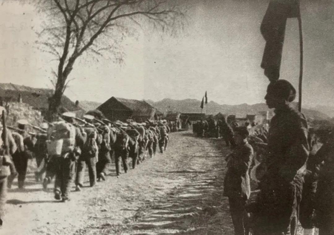 曹宠,曹保育教学随笔