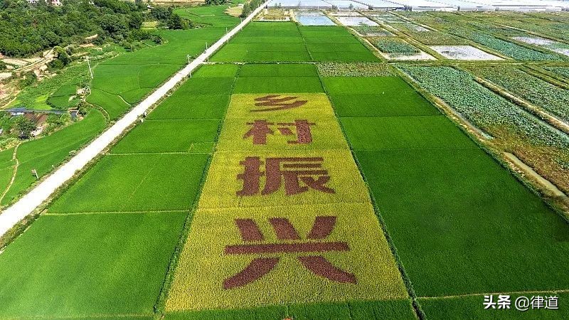 土地承包期满发包方要收回怎么办,农村土地承包期满后怎么处理