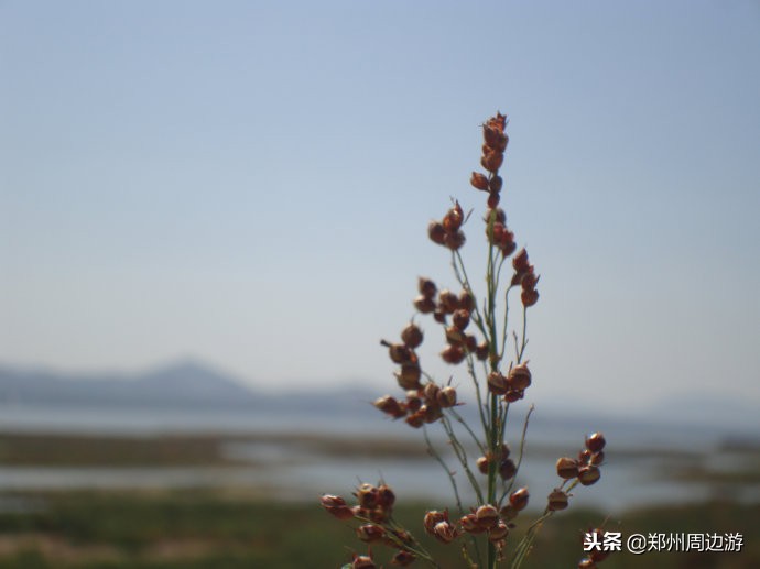 曲阜孔子诞生地尼山圣境,孔子诞生地曲阜尼山叫什么名字