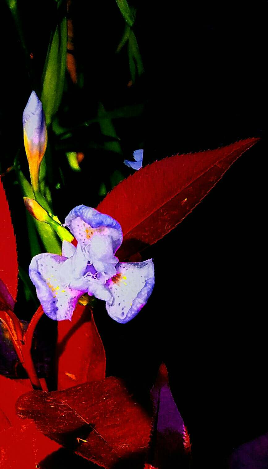 炒股高手在哪些网站发帖,炒股达人炒股视频