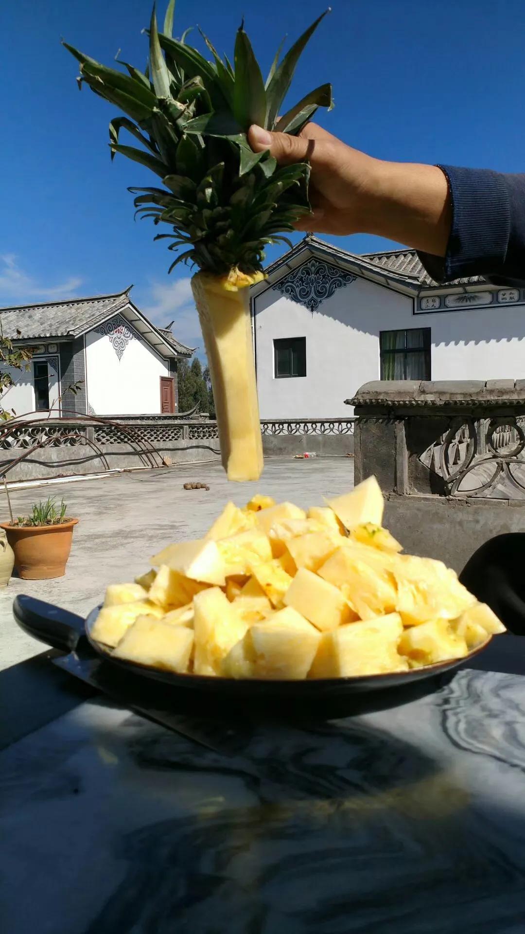 一家三口在大理租房,一家三口的田园生活